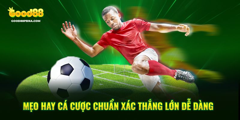 Mẹo hay cá độ chuẩn xác thắng lớn dễ dàng 